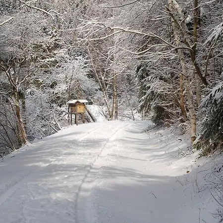 Semi Detached House Hotel Hasselfelde